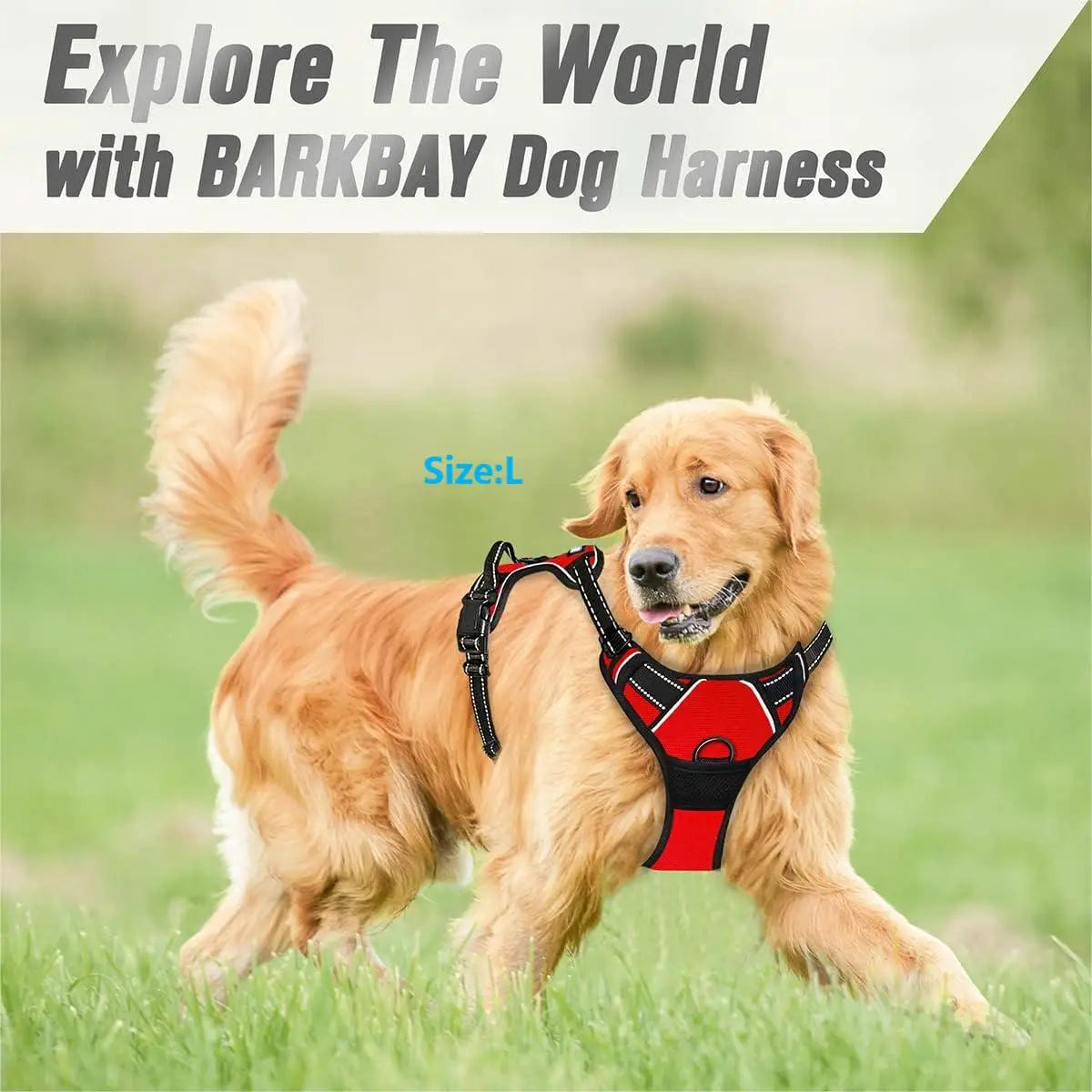 No-Pull Dog Harness with Front Clip & Reflective Trim