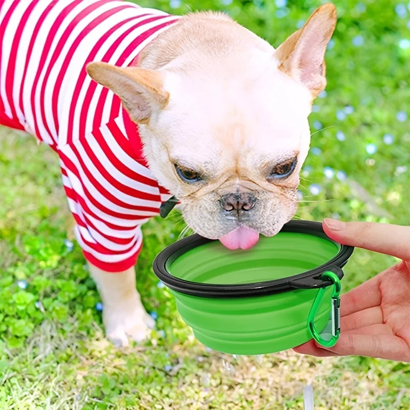 Portable Silicone Travel Bowl for Dogs & Cats