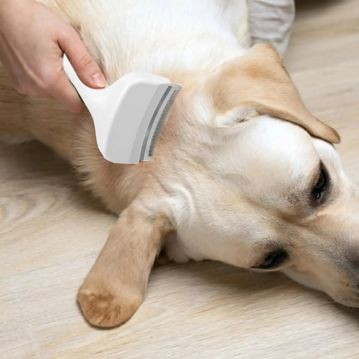 Deshedding Slicker Brush for Dogs & Cats