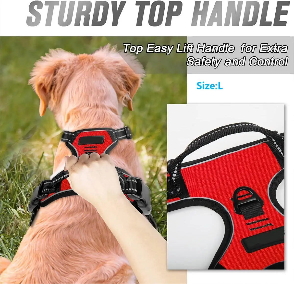 No-Pull Dog Harness with Front Clip & Reflective Trim