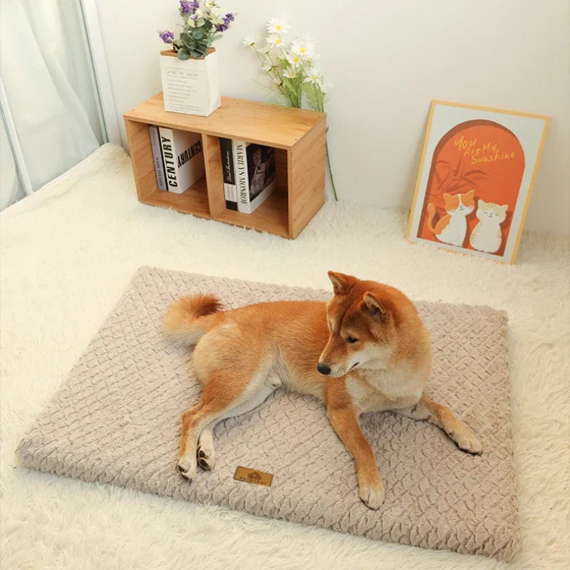 Memory Foam Dog Bed with Removable Washable Cover