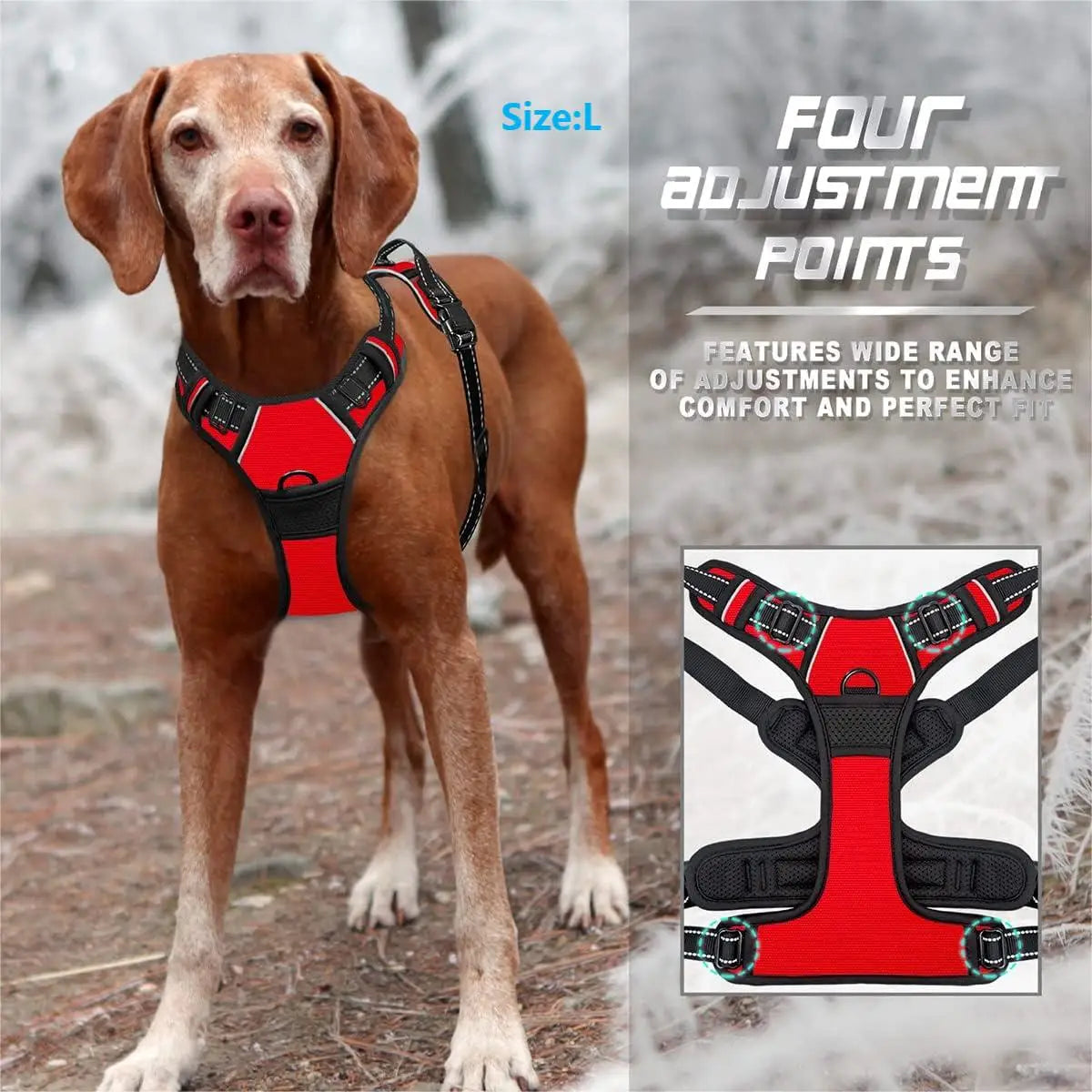 No-Pull Dog Harness with Front Clip & Reflective Trim